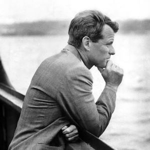 Meet your Posher, Robin